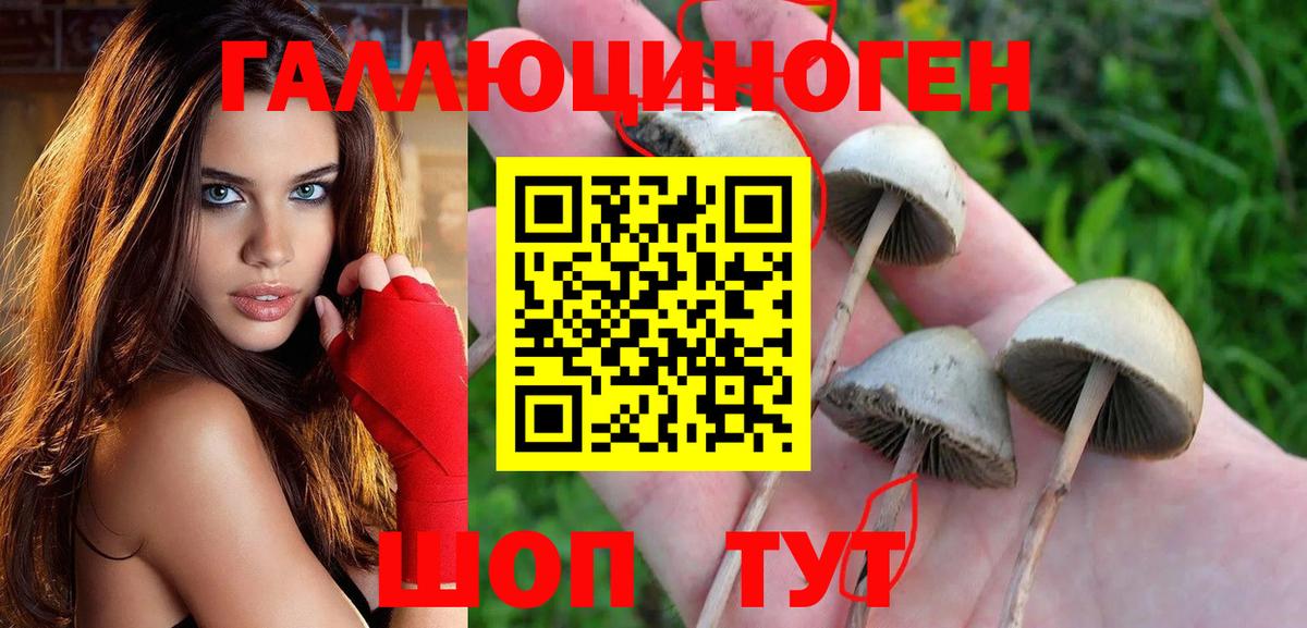 Псилоцибиновые грибы мухоморы  Вход с VPN  купить  сайты  Спасск-Дальний 